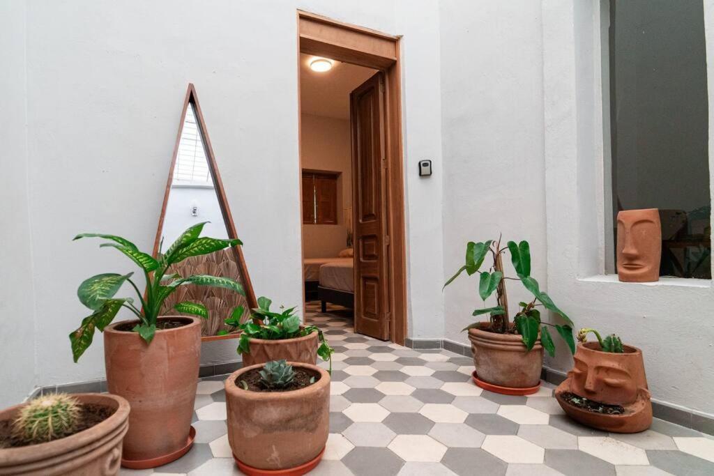 Casa Del Desierto Villa Guadalajara Luaran gambar
